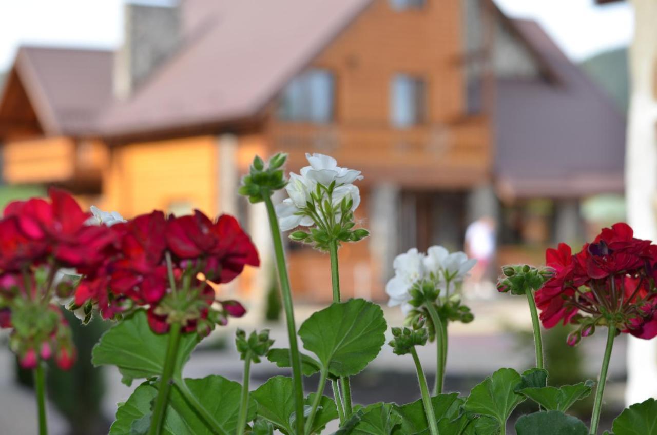 Sribni Rosy Hotell Mykulytjyn Exteriör bild